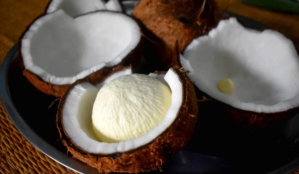 coconut pulp